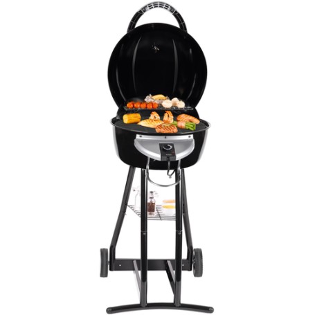 Trisa BBQ Star 2 in 1 Grill Elettrico + Carbone Nero, Argento 2000 W (7596)