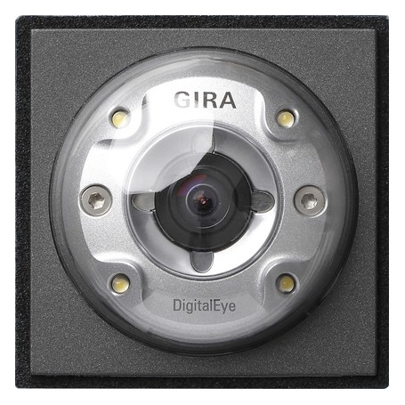 GIRA 126567 accessorio per sistema intercom Modulo per fotocamera