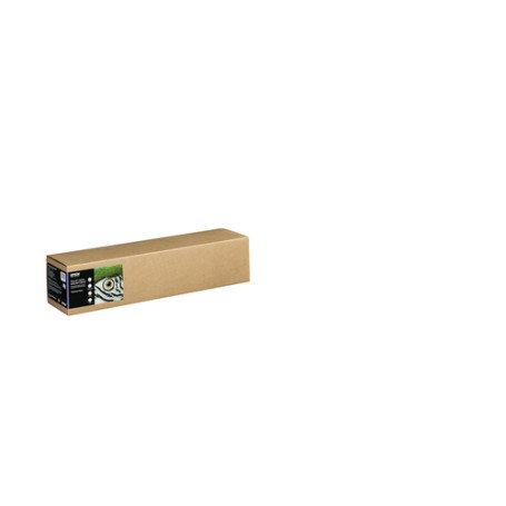 Epson C13S450278 carta da disegno Foglio d'arte 1 fogli (C13S450278)
