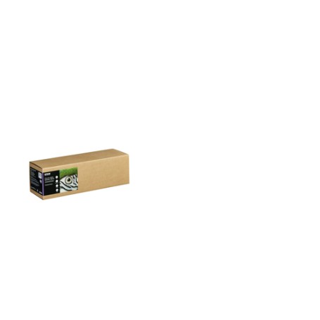 Epson C13S450277 carta da disegno Foglio d'arte 1 fogli (C13S450277)