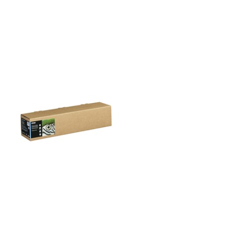 Epson C13S450264 carta da disegno Foglio d'arte 1 fogli (C13S450264)