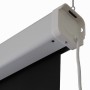 Napofix E11-3080 schermo per proiettore 4,24 m (167") 1:1 (NPF10173)