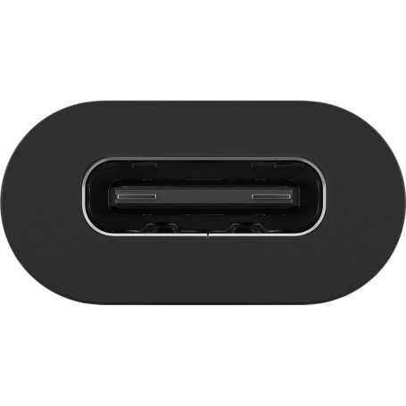 Goobay 45401 adattatore per inversione del genere dei cavi USB-C Nero (45401)