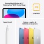 iPad 11" (256GB) (pink, 11. Gen / 2025) (MD4P4TY/A)