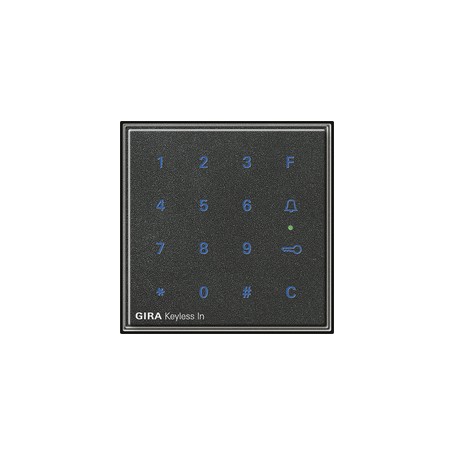 GIRA 260567 accessorio per interruttore elettrico
