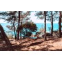 Silk Traveller XL Mountain AZ-1030186 (braun/trkis)