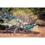Travel Set Jungle AZ-1030265 (grn)