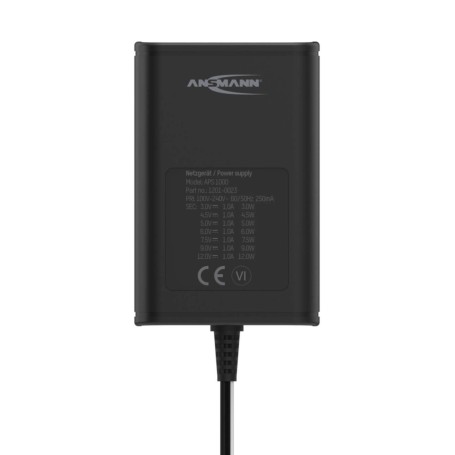 Ansmann 1201-0023 adattatore e invertitore Interno 12 W Nero (1201-0023)