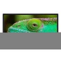 Lenco LED-2463BK (V2) 61 cm (24") HD Smart TV Wi-Fi Nero 300 cd/m² (A004891)