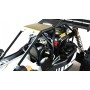 Amewi Pitbull X Evolution modellino radiocomandato (RC) Buggy Motore elettrico 1:5 (22414)