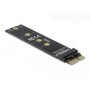 DeLOCK 64105 scheda di interfaccia e adattatore M.2 (64105)