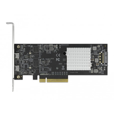 DeLOCK 89009 scheda di interfaccia e adattatore Interno USB 3.2 Gen 2 (3.1 Gen 2) (89009)