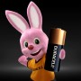 Duracell MN21 Batteria monouso Alcalino (62297) (203969)
