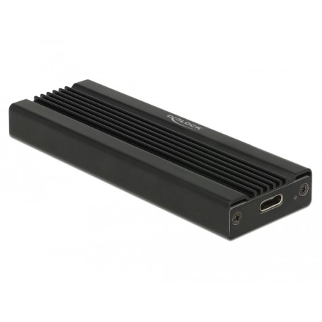 DeLOCK 42600 scheda di interfaccia e adattatore USB 3.2 Gen 1 (3.1 Gen 1) (42600)