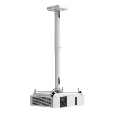 Kindermann Comfort² 60 supporto per proiettore Soffitto Bianco (4000000061)