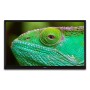 Lenco LED-2463BK (V2) 61 cm (24") HD Smart TV Wi-Fi Nero 300 cd/m² (A004891)