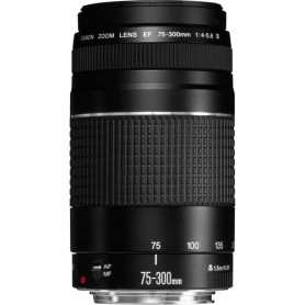 Canon 6473A015 obiettivo per fotocamera SLR Teleobiettivo Nero (6473A015)