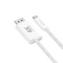 4smarts 540958 cavo DisplayPort 2 m USB C Bianco