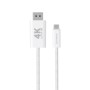 4smarts 540958 cavo DisplayPort 2 m USB C Bianco