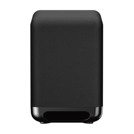 Sony SA-SW5 Subwoofer premium, 300W, Nero (SASW5.CEL)