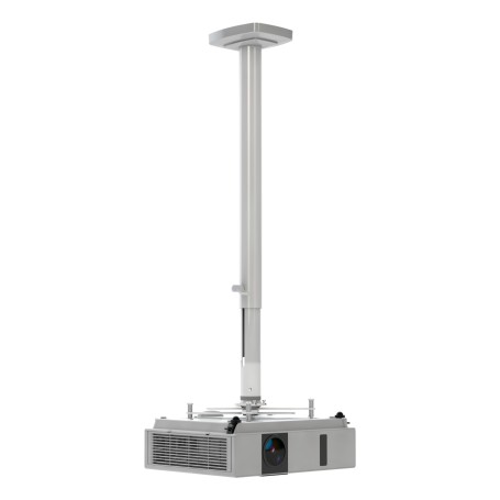 Kindermann Comfort² 100 supporto per proiettore Soffitto Bianco (4000000101)