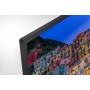 Sony BRAVIA KD32W800, TV LED (80 cm (32 pollici), nero, HDR, WXGA, triplo sintonizzatore) (KD32W800PAEP)