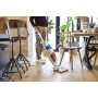 Rowenta Clean & Steam Multi RY8544WH scopa elettrica Senza sacchetto 0,5 L 1700 W Bianco, Blu (RY8544WH)