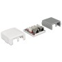 DeLOCK 86197 presa energia 2 x RJ-45 Bianco (86197)