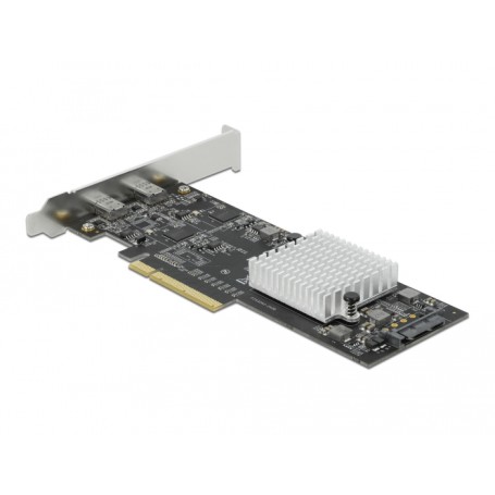 DeLOCK 89011 scheda di interfaccia e adattatore Interno USB 3.2 Gen 1 (3.1 Gen 1) (89011)