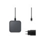 Samsung EP-P2400 Grigio Interno (EP-P2400TBEGEU)