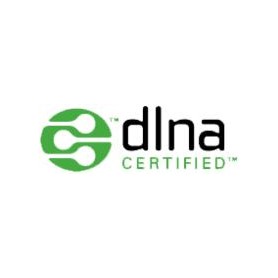 Hama DIR3020 Internet Analogico e digitale Nero (00054873)