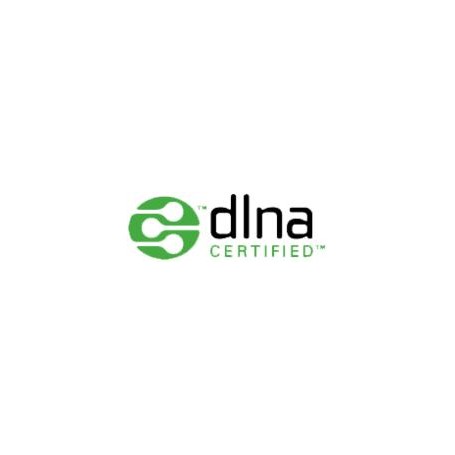 Hama DIR3020 Internet Analogico e digitale Nero (00054873)