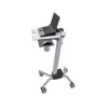 Ergotron Neo-Flex Laptop Cart Grigio Computer portatile Carrello/trolley multimediale (24-205-214)