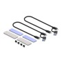 DeLOCK Alloggiamento esterno USB Type-C Dual Combo per 2 x unità SSD M.2 NVMe PCIe o SATA - senza attrezzi (42028)