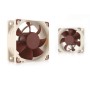 Noctua NF-A6x25 PWM Case per computer Ventilatore 6 cm Beige, Marrone (NF-A6X25-PWM) (NF-A6x25-PWM)