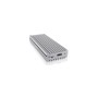 ICY BOX IB-1817MA-C31 Box esterno SSD Argento M.2 (60612)