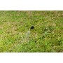 Metabo RSG 18 LTX 15 Spruzzatore da giardino a spalla 15 L (602038850)