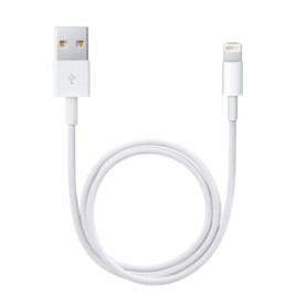 Apple Cavo da Lightning a USB (0.5 m) (ME291ZM/A) Apple Cavo da Lightning a USB (0.5 m) (ME291ZM/A)