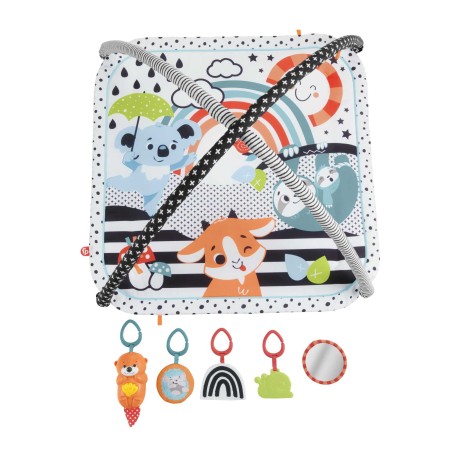 Fisher-Price HBP41 palestra per bambino e tappeto di gioco Multicolore Palestrina a tappeto per bambino (HBP41)
