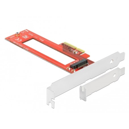DeLOCK 90401 scheda di interfaccia e adattatore Interno M.3 (90401)