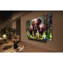 LG QNED evo AI 75QNED85A6C 190,5 cm (75") 4K Ultra HD Smart TV Wi-Fi Nero (75QNED85A6C.AEU)