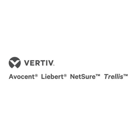 Vertiv Avocent USB6000RX-202 estensore KVM Ricevitore (USB6000RX-202)