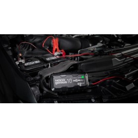 NOCO GENIUS10 EU 10A Batterieladegerät für 6V/12V Batterien mit Wartungs- und Entschwefelungsfunktion (GENIUS10EU)