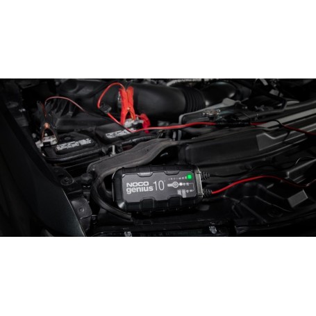 NOCO GENIUS10 EU 10A Batterieladegerät für 6V/12V Batterien mit Wartungs- und Entschwefelungsfunktion (GENIUS10EU)