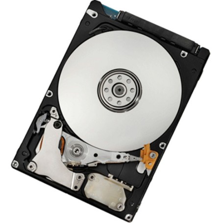 IBM 42D0753 disco rigido interno 2.5" 500 GB SATA (42D0753)
