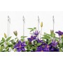 Gasbetondbel GB 14 (hellgrau, 10 Stck) (050493)