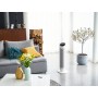 Rowenta Silent Comfort 3-in-1 HQ8120F0 stufetta elettrica Interno Argento 2400 W Riscaldatore ambiente elettrico con  (HQ8120F0) (HQ 8120)