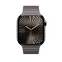 Apple Bracciale a maglie ardesia (46 mm) (MXMK3ZM/A)