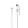 4smarts 540955 cavo HDMI 2 m USB C HDMI tipo A (Standard) Bianco