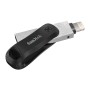 iXpand Go 128 GB (schwarz/silber, USB-A 3.2 Gen 1, Apple Lightning Connector) (SDIX60N-128G-GN6NE)
